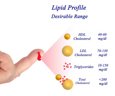 İstenilen Lipid profili aralığı 