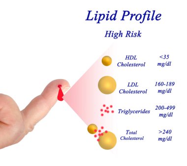 İstenilen Lipid profili aralığı 