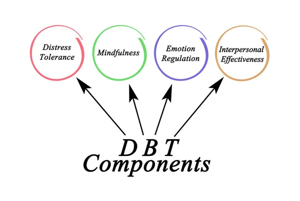 Cuatro Componentes Dbt — Foto de Stock