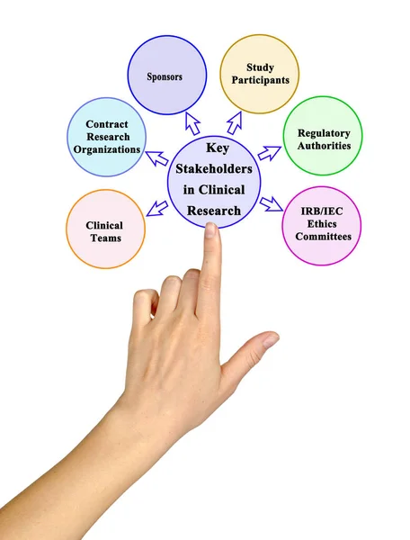 Major Stakeholders in Clinical Research