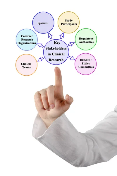 Major Stakeholders in Clinical Research