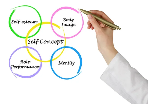 Four Components Self Concept — 图库照片