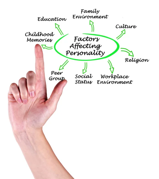 Presenting Eight Factors Affecting Personality