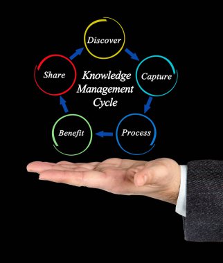 Components of Knowledge Management Cycle