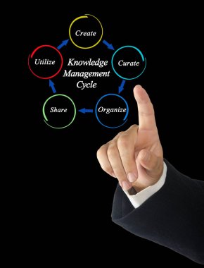 Bilgi Yönetimi Döngüsünün Bileşenleri