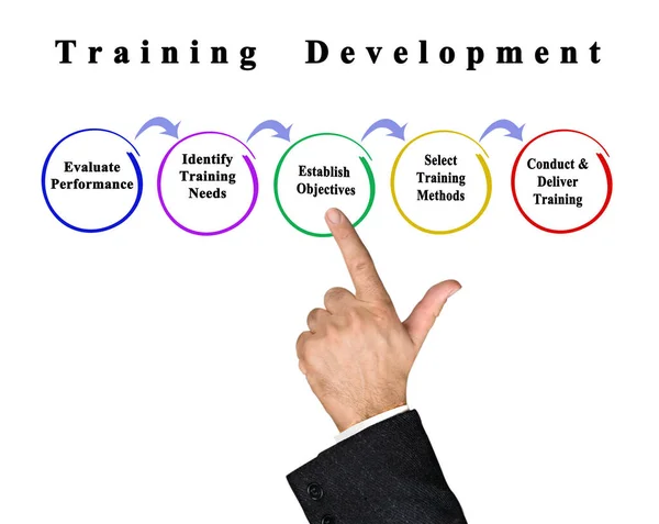 Five Stages Training Development — Zdjęcie stockowe