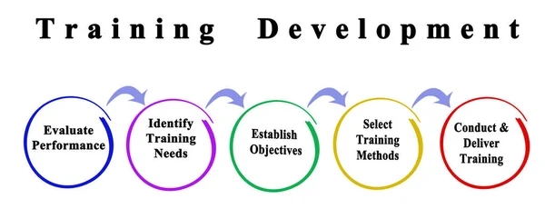 Five Stages Training Development — Stock Fotó