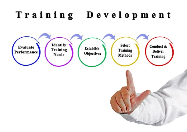 Five Stages Training Development — 스톡 사진