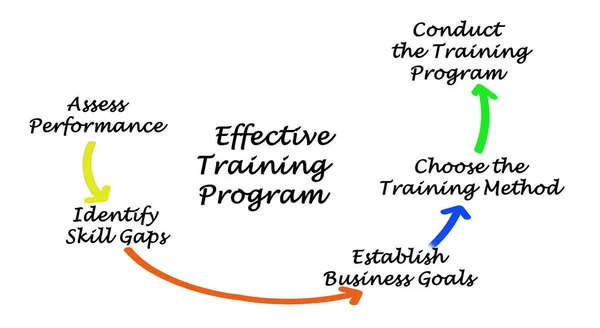 Components Effective Training Program — Zdjęcie stockowe