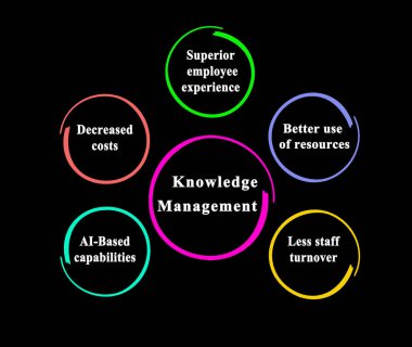 Bilgi Yönetiminin Beş Bileşeni