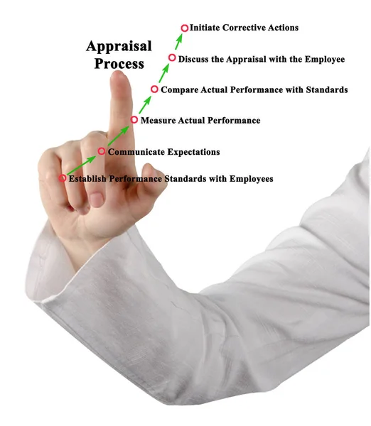 Six Components Appraisal Process — 图库照片