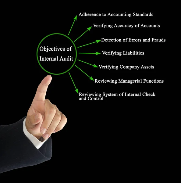 Seven Objectives Internal Audit — Photo
