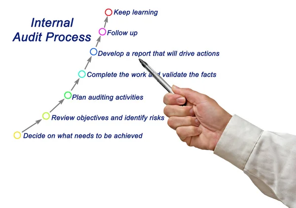 Components of Internal Audit Process