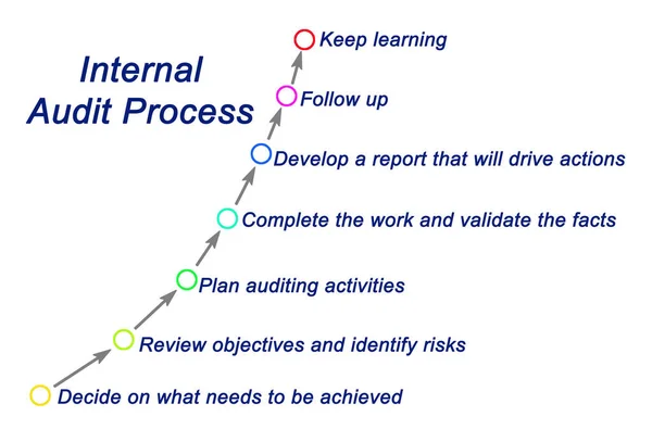 Components of Internal Audit Process