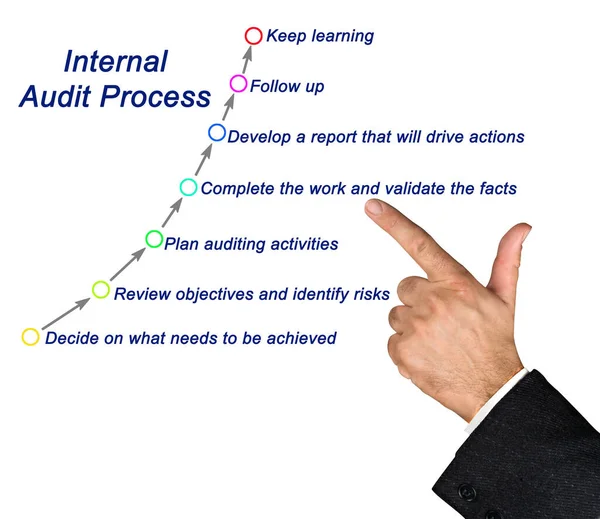 Components of Internal Audit Process