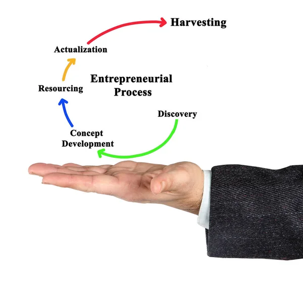 Five Components Entrepreneurial Process — Stock Photo, Image