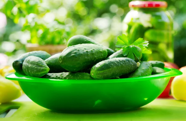 Fresh cucumbers — Stock Image Fresh cucumbers Stock Picture