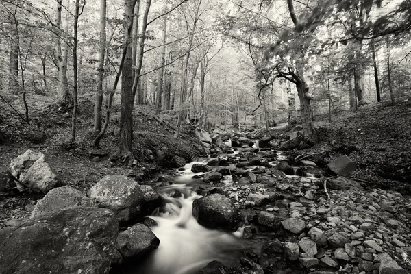 Black and white cold stream — Stock Photo, Image