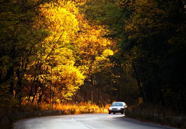 Herfst weg — Stockfoto