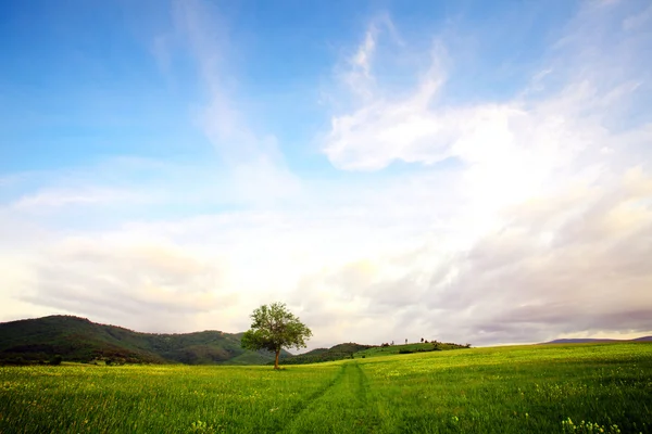 Panoramalandschaft — Stockfoto