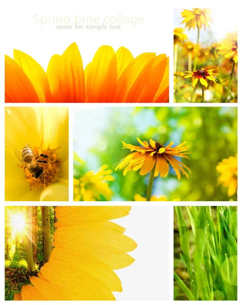 Collage de printemps — Photo