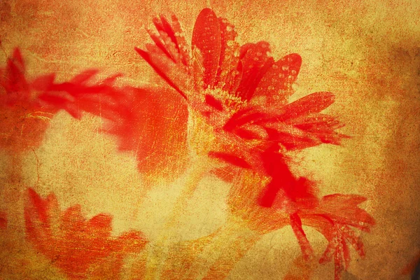 Red textured flower — Stock Photo, Image