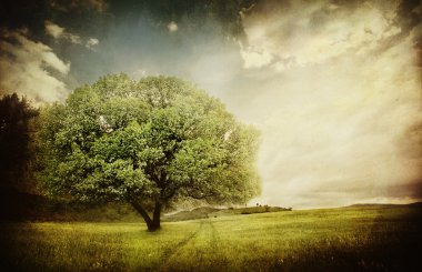 Vintage dokulu ağaç