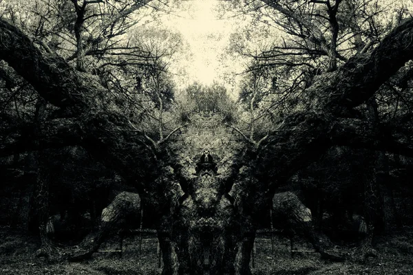 Demonische bos — Stockfoto