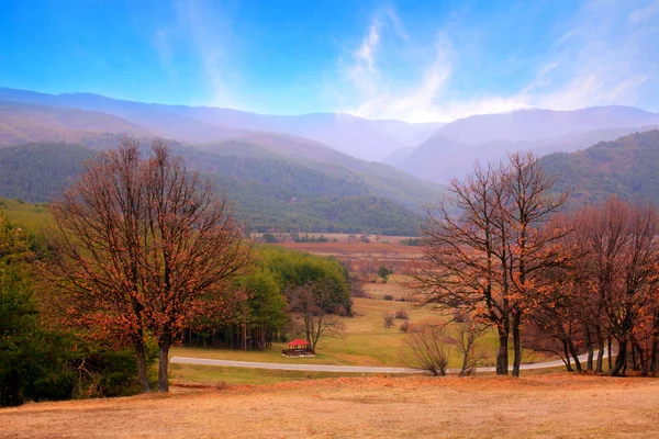 Bosque paisaje —  Fotos de Stock