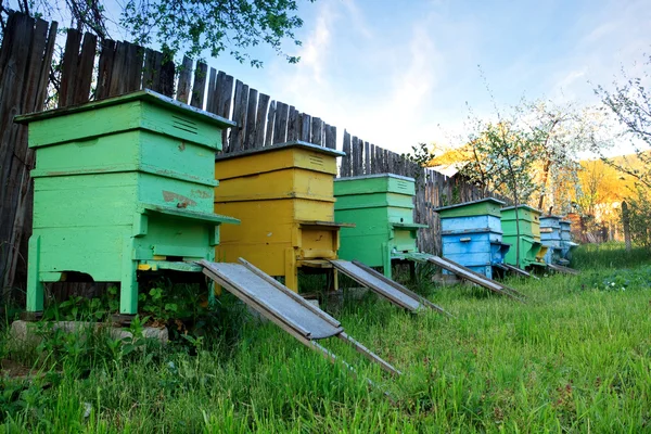 Bee huizen — Stockfoto