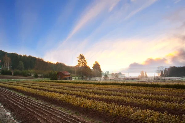 HDR landskap-våren — Stockfoto