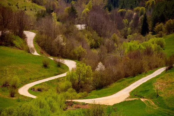 Carretera forestal 2 — Foto de Stock