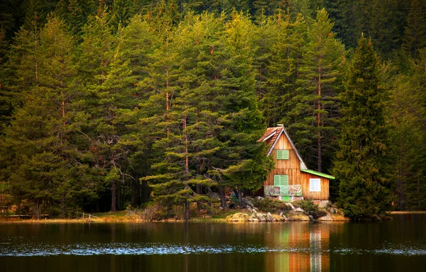 Bulharská forest resort — Stock fotografie