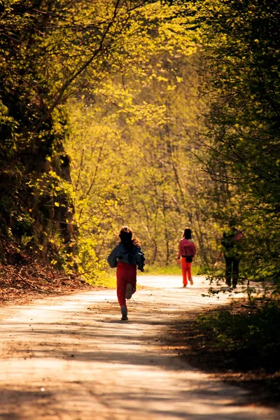 Bosque de otoño con varios niños —  Fotos de Stock