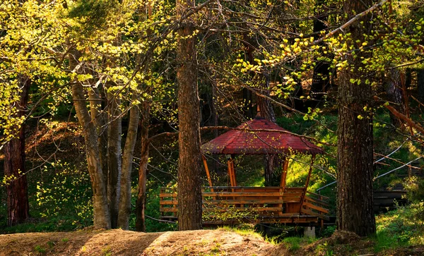 Forest cabin — Stock Photo, Image