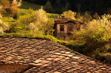 Bulgar abandone evi