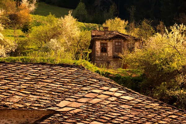 Bulgarian abandone house — Stock Photo, Image