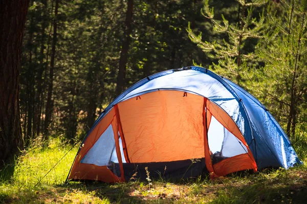 Bos met tent — Stockfoto