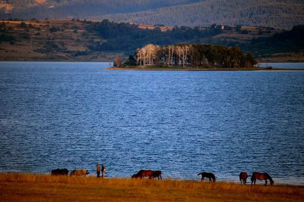 Couple and lake — Stock Photo, Image