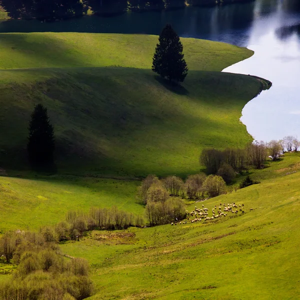 Bulgarian lake — Stock Photo, Image