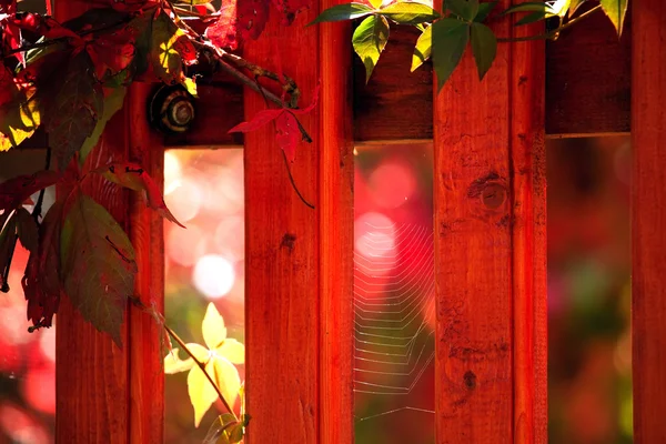 Roter Garten — Stockfoto