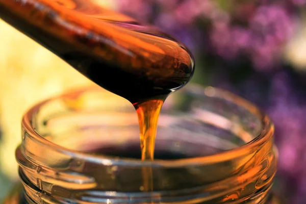 꿀 클로즈업 — 스톡 사진