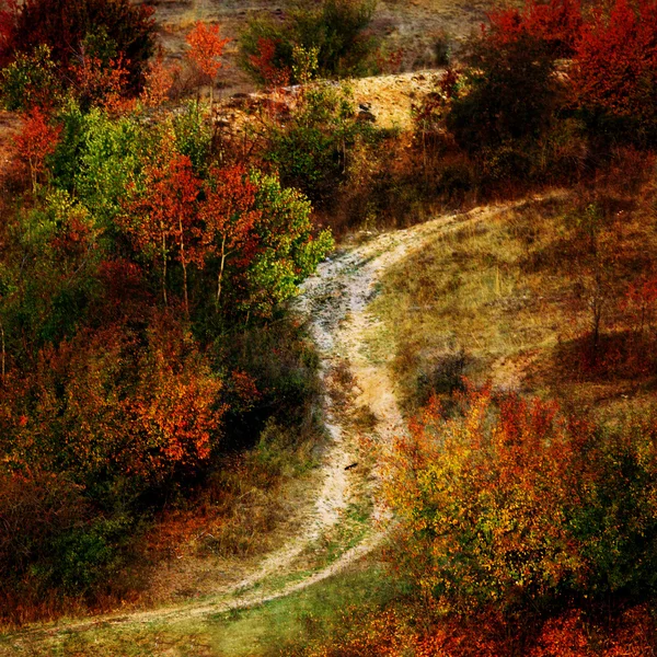 Textura otoño — Foto de Stock