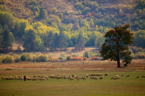 Tierras agrícolas bulgaras de otoño — Foto de Stock