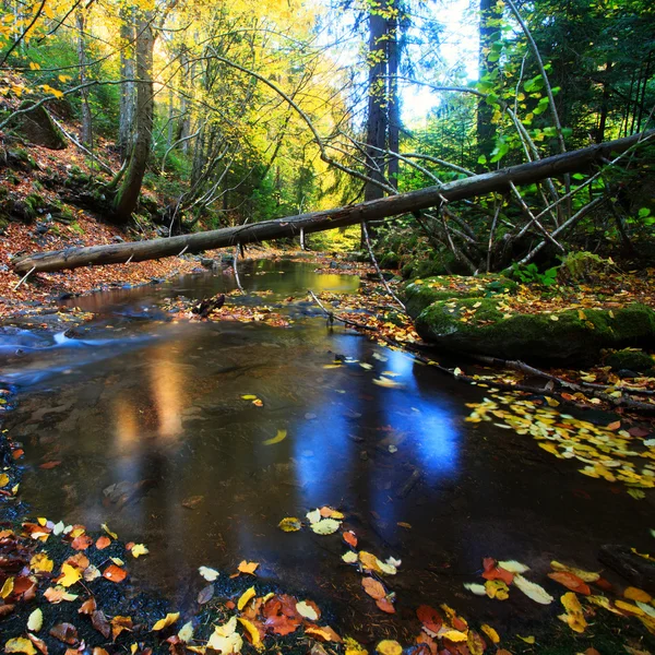 Autumn stream — Stockfoto