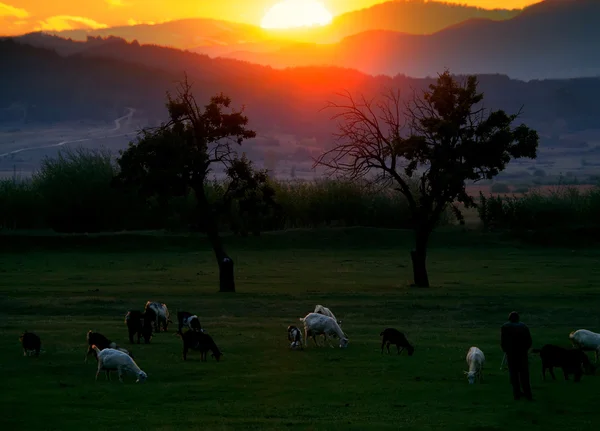 Bulgarian farmland — Stock Photo, Image