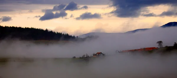 Nebelwiesen — Stockfoto