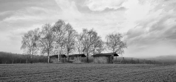 Bw maisons en bois — Photo