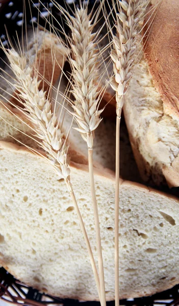Pszenica i chleb — Zdjęcie stockowe