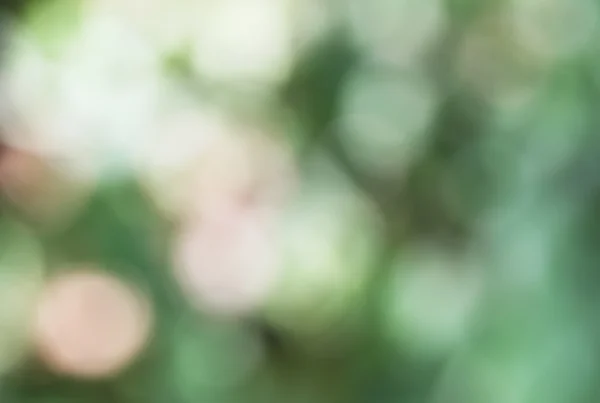 Zelená jarní bokeh — Stock fotografie